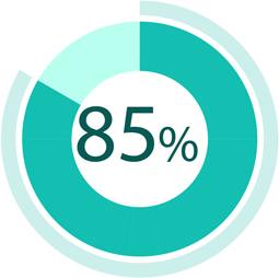 85% of consumers search online for local services.